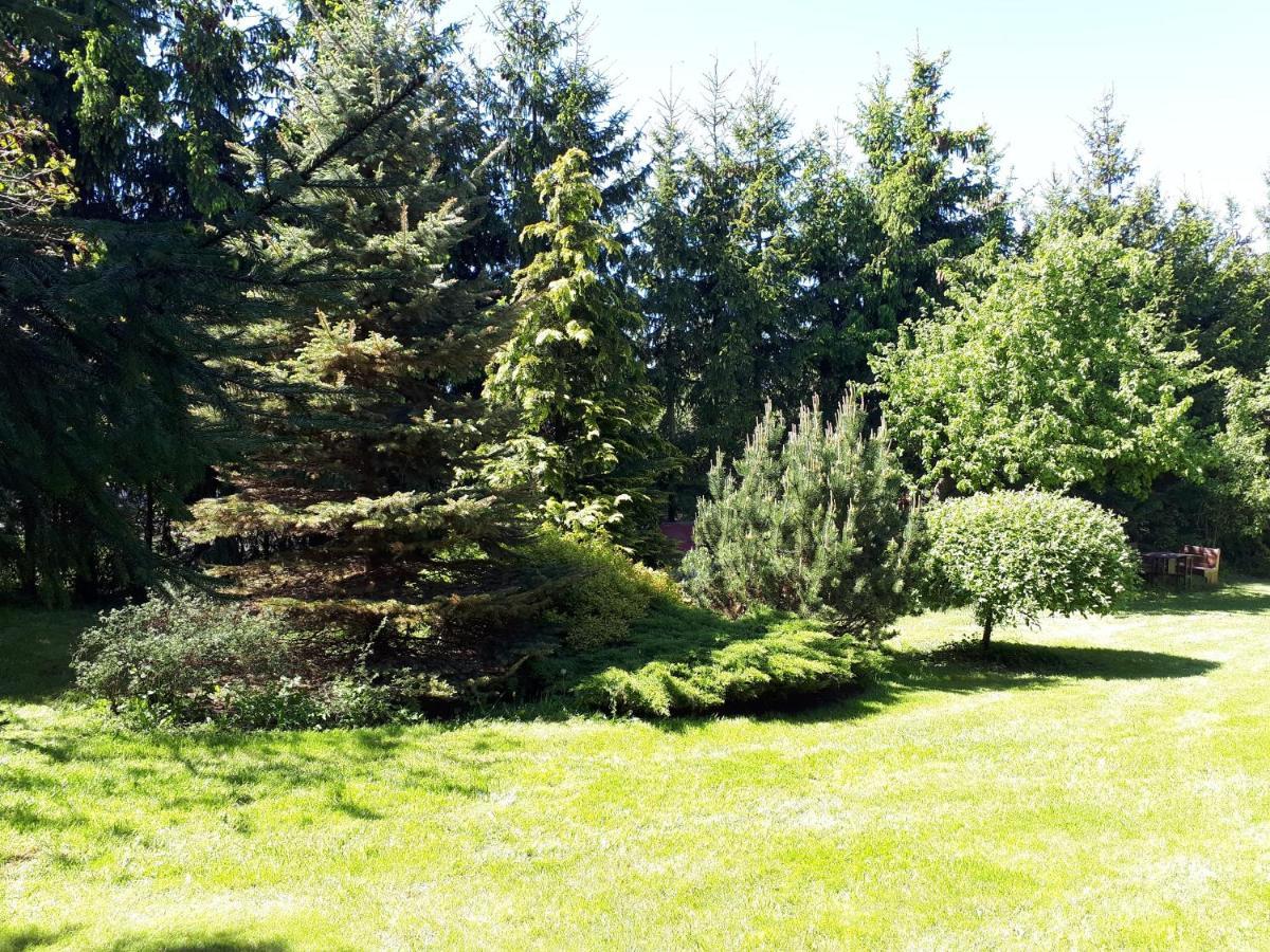 Agroturystyka Druzno Эльблонг Экстерьер фото